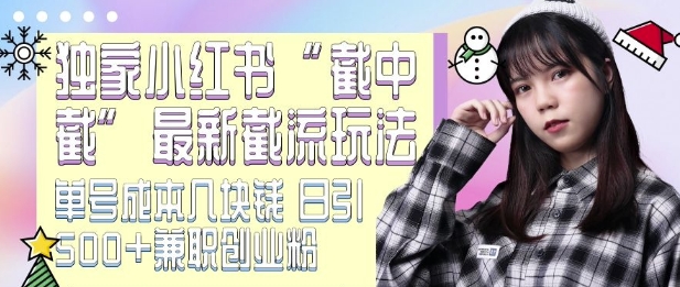 最新小红书截流玩法 独家截中截 单号成本几块钱 日引500+CY粉JZ粉-云创网