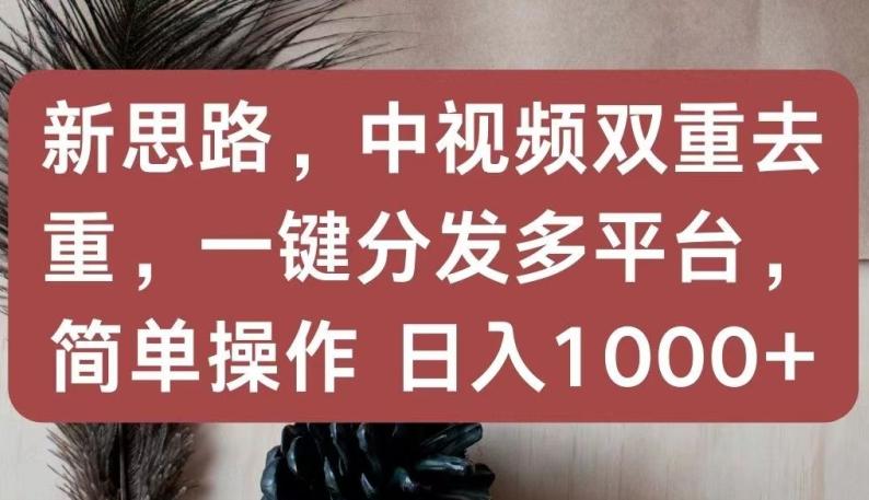 新思路，中视频双重去重，一键分发多平台，简单操作，日入1000+【揭秘】-云创网