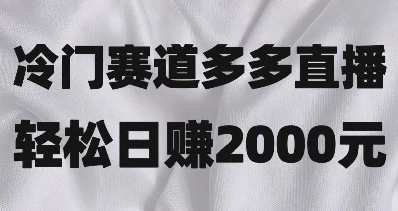 冷门赛道拼多多直播，简单念稿子，日收益2000＋【揭秘】-云创网