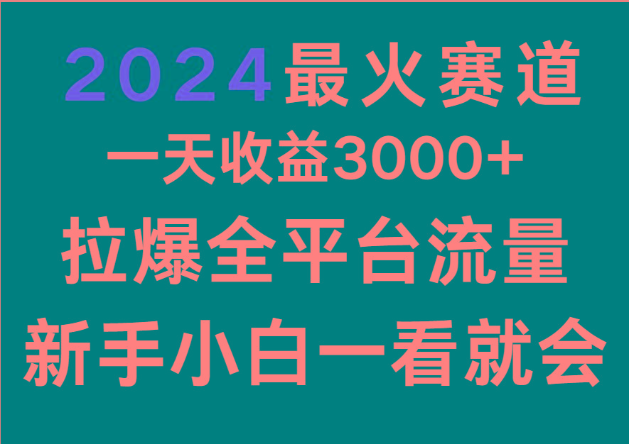 2024最火赛道，一天收一3000+.拉爆全平台流量，新手小白一看就会-云创网