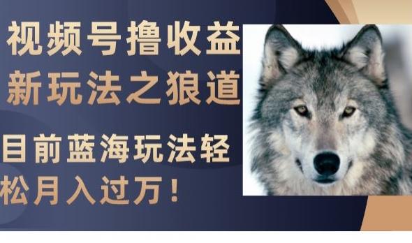 视频号撸收益新玩法之狼道，目前蓝海玩法，轻松月入过万【揭秘】-云创网