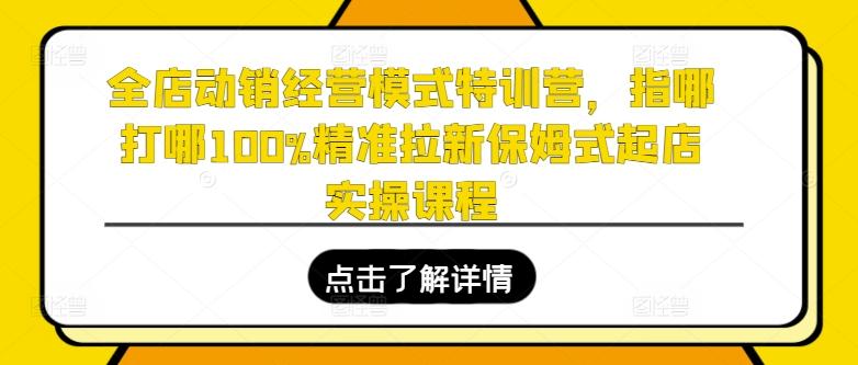 全店动销经营模式特训营，指哪打哪100%精准拉新保姆式起店实操课程-云创网