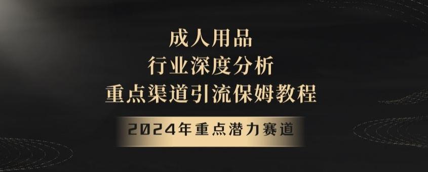 2024年重点潜力赛道，成人用品行业深度分析，重点渠道引流保姆教程【揭秘】-云创网