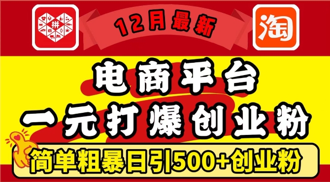 12月最新：电商平台1元打爆创业粉，简单粗暴日引500+精准创业粉，轻松月入过W【揭秘】-云创网