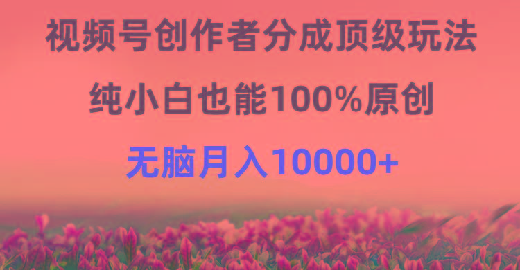 (9608期)视频号创作者分成顶级玩法，纯小白也能100%原创，无脑月入10000+-云创网