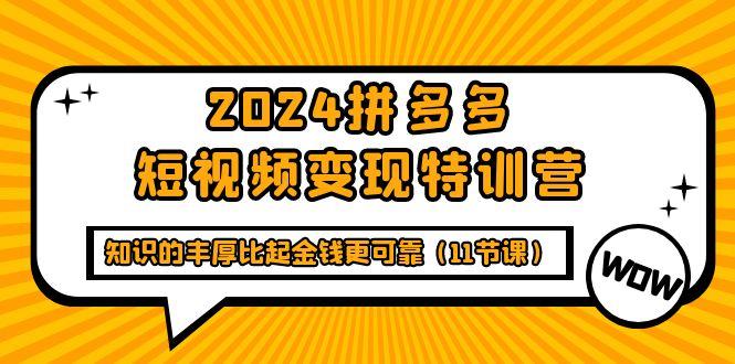(9817期)2024拼多多短视频变现特训营，知识的丰厚比起金钱更可靠(11节课)-云创网