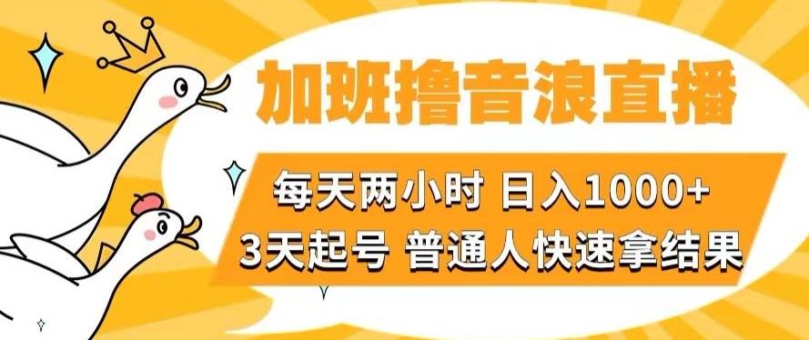 加班撸音浪直播，每天两小时，日入1000+，直播话术才3句，3天起号，普通人快速拿结果【揭秘】-云创网