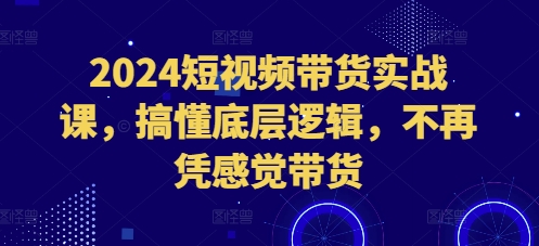 2024短视频带货实战课，搞懂底层逻辑，不再凭感觉带货-云创网