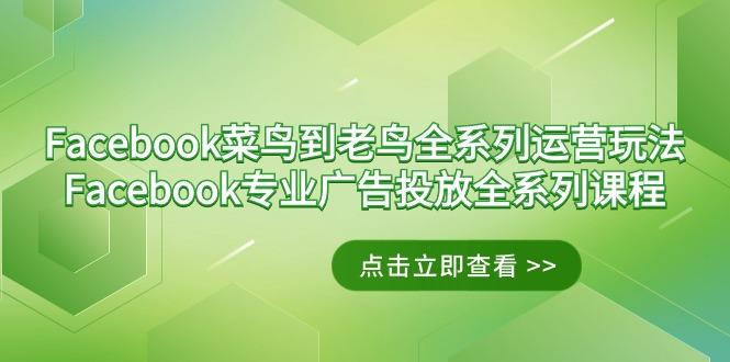 Facebook-菜鸟到老鸟全系列运营玩法+Facebook-专业广告投放全系列课程-云创网