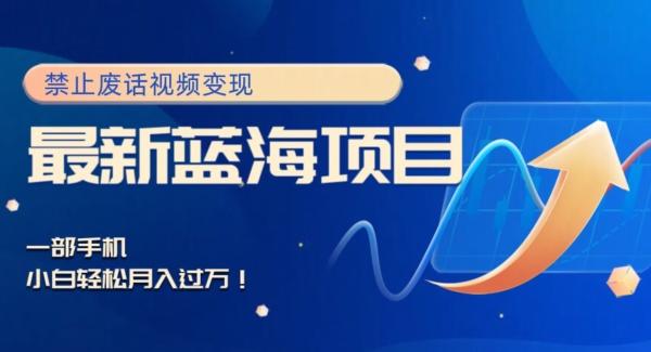 最新蓝海项目，靠禁止废话视频变现，一部手机，小白轻松月入过万！-云创网