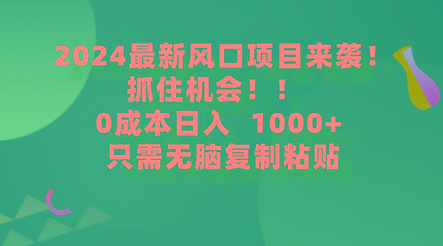 (9899期)2024最新风口项目来袭，抓住机会，0成本一部手机日入1000+，只需无脑复...-云创网