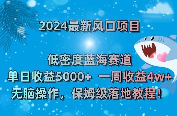 2024最新风口项目，低密度蓝海赛道，单日收益5000+，一周收益4w+！【揭秘】-云创网