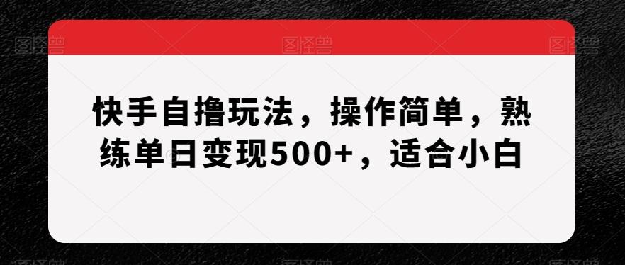 快手自撸玩法，操作简单，熟练单日变现500+，适合小白【揭秘】-云创网
