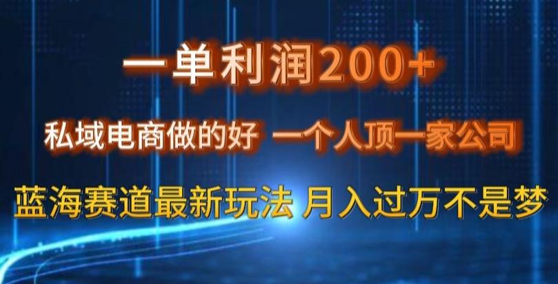 一单利润200私域电商做的好，一个人顶一家公司蓝海赛道最新玩法【揭秘】-云创网