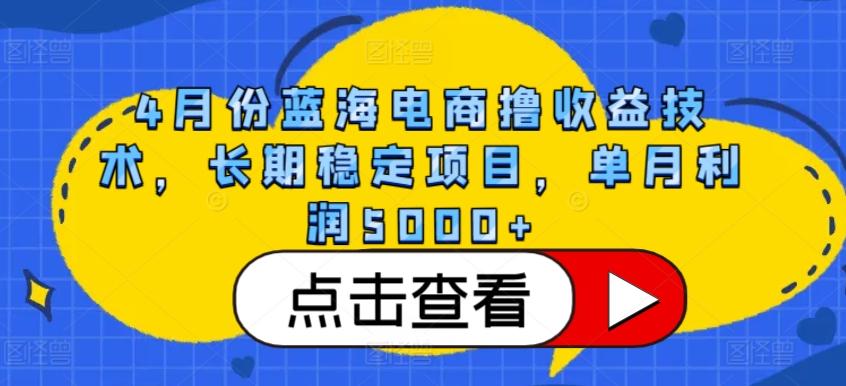 4月份蓝海电商撸收益技术，长期稳定项目，单月利润5000+【揭秘】-云创网