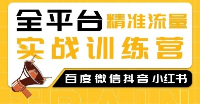 全平台精准流量实战训练营，百度微信抖音小红书SEO引流教程-云创网